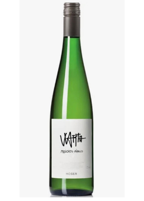 MOSER MASO WARTH MOSCATO GIALLO IGT VIGNETI DELLE DOLOMITI 2024