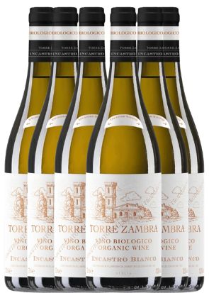 TORRE ZAMBRA INCASTRO BIANCO 2025 BOX 6 BOTTIGLIE