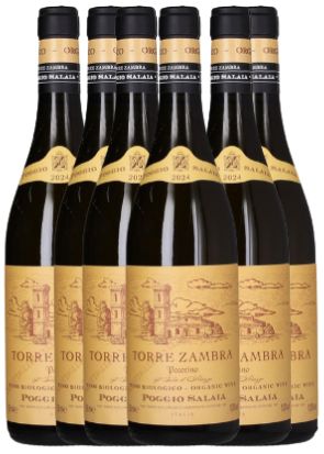 TORRE ZAMBRA POGGIO SALAIA PECORINO 2025 BOX 6 BOTTIGLIE